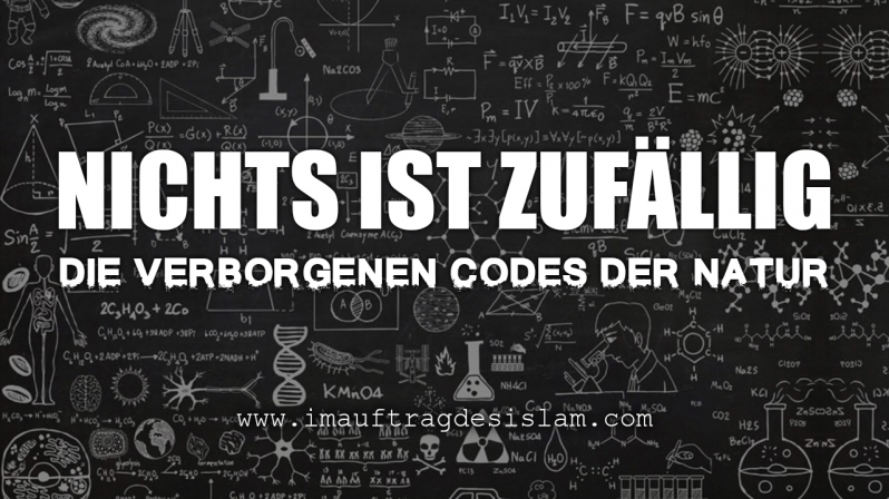 NICHTS IST ZUFÄLLIG - DIE VERBORGENEN CODES DER NATUR