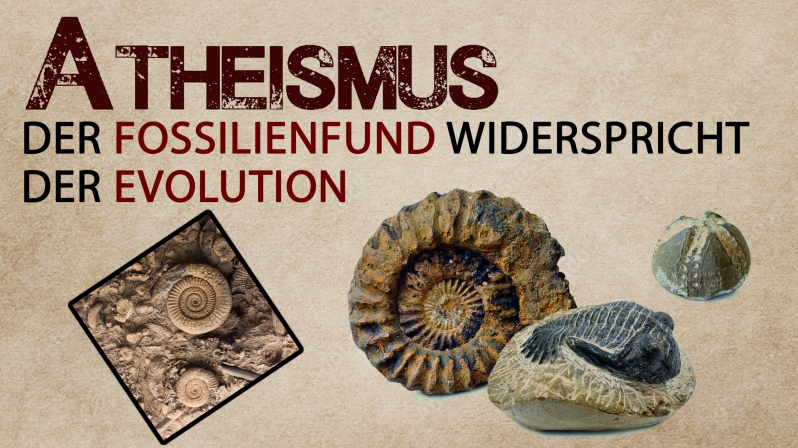 DER FOSSILIENFUND WIDERSPRICHT DER EVOLUTION