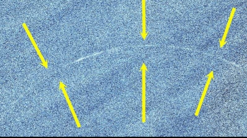 NEUMOND GESICHTET! 1. JEMAZIELAKHIR 1445