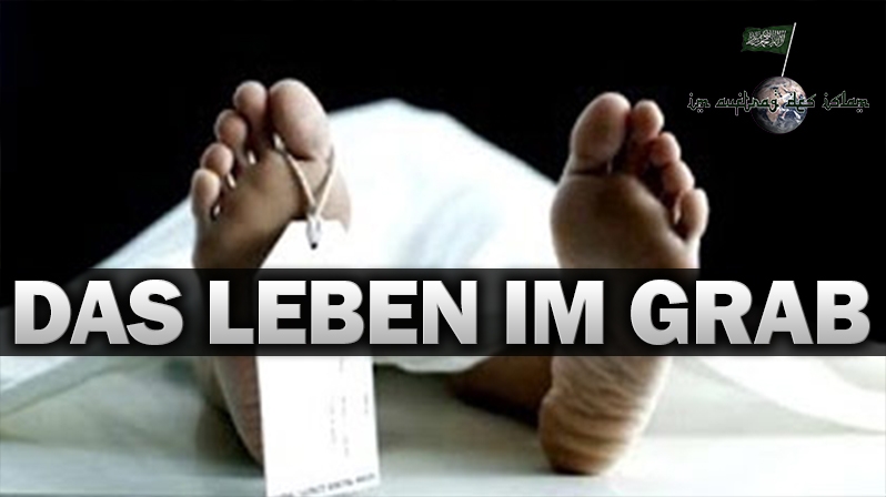 DAS LEBEN IM GRAB